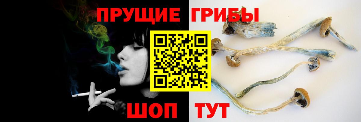 Реж  Галлюциногенные грибы мухоморы  Вход с VPN  Галлюциногенные грибы Psilocybine cubensis 